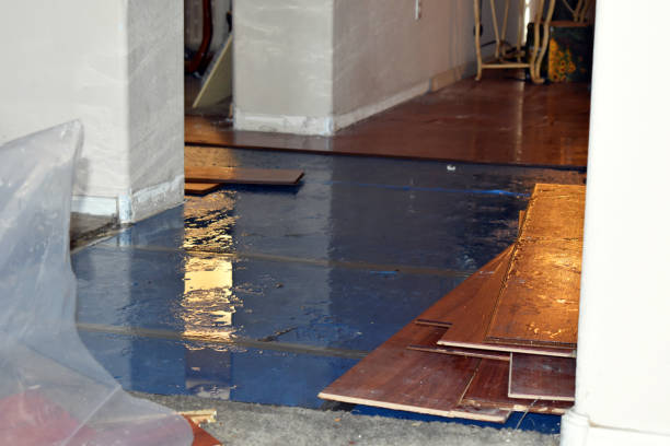 Professional Basement Flood Cleanup technician working in Hancock, WI